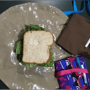 “Sandwich HUG”: Eco-Friendly Handcrafted way to transport and eat lunch;Velcro